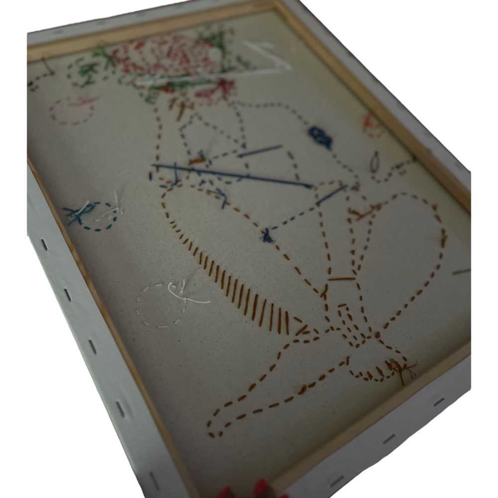Embroidered Canvas - Picture 3 of 4